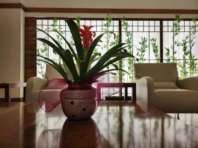 Luz Plaza Sao Paulo Hotel Ngoại thất bức ảnh